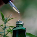 Focusing on where is Delta 8 Available?